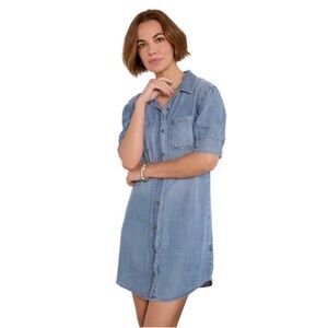 Kut from the Kloth Chambray Shirt Dress